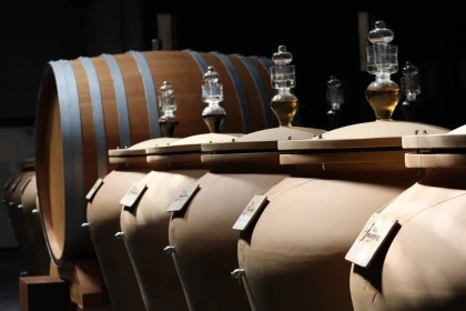 Visit the cellar and tasting of the 15 vintages - Vignerons Indépendants