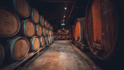 Cellar tour + tasting - Vignerons Indépendants