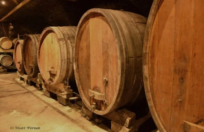Cellar tour + tasting - Vignerons Indépendants