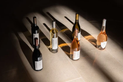 Visit of the Château de Chausse - Vignerons Indépendants