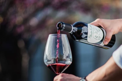 Visite et dégustation au chai - Vignerons Indépendants