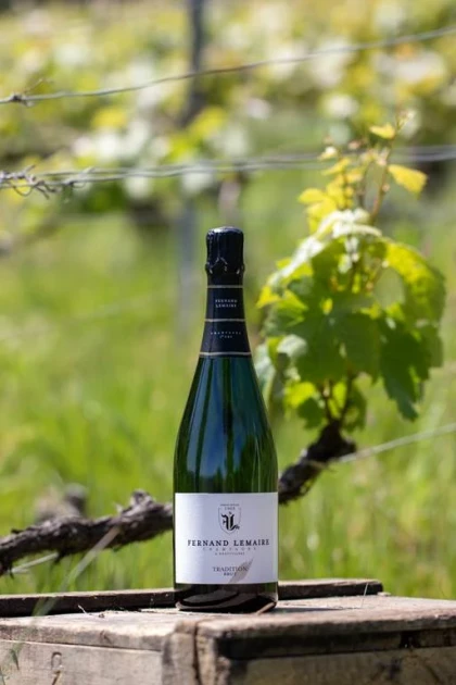 Visit and tasting - Vignerons Indépendants