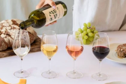 VISITE ET DÉGUSTATION VINS - app.name