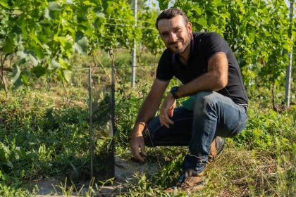 Visite et Dégustation - Vignerons Indépendants