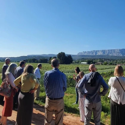 Guided tour of the estate followed by a tasting - Vignerons Indépendants