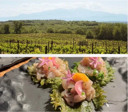 Voyage des Sens - Vignerons Indépendants