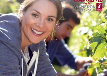 Participative Harvesting - Vignerons Indépendants
