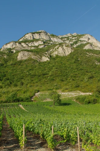 Savoie - Bugey