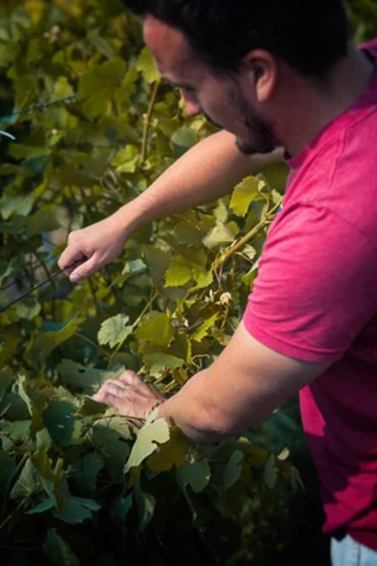 Atelier Découverte des travaux en vert - - app.name