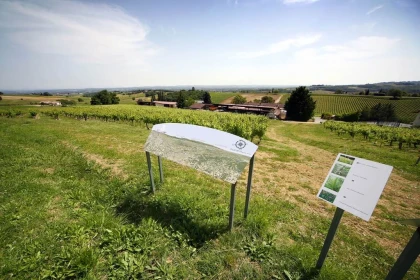 🌿 Balade au cœur des vignes – Parcours libre et pédagogique - app.name