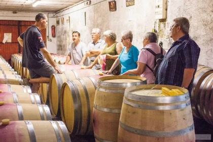 🌿 Balade au cœur des vignes – Parcours libre et pédagogique - app.name