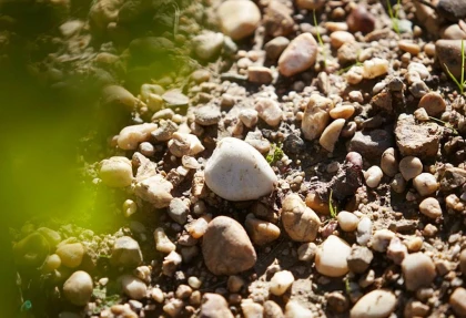 Balade immersive dans les vignes de Jouvente - Vignerons Indépendants