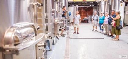 DANS LES COULISSES DU VIN : Visite Guidée de la cave & Dégustation Commentée - app.name