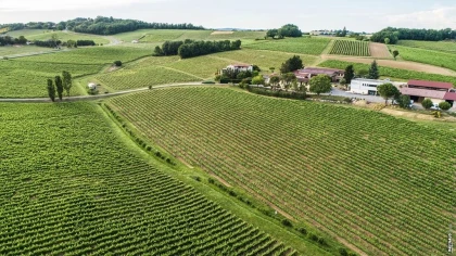 DANS LES COULISSES DU VIN : Visite Guidée de la cave & Dégustation Commentée - app.name