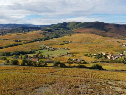  - Vignerons Indépendants