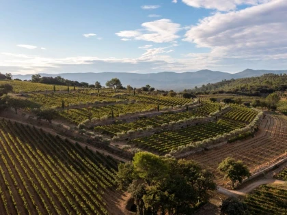 Visite et dégustation - Vignerons Indépendants