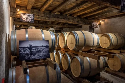 La visite et dégustation "In Vino" : Dans les secrets des vins en cours d'élevage - Vignerons Indépendants