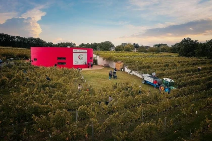The educational trail - Vignerons Indépendants
