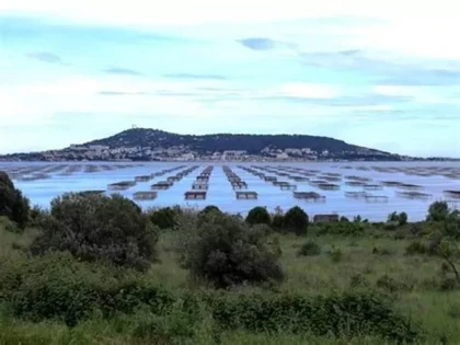  - Vignerons Indépendants