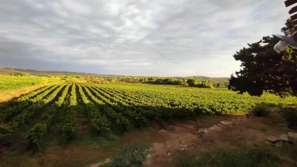  - Vignerons Indépendants