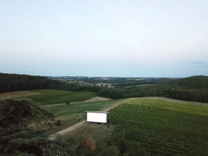 Soirée Cinéma en Plein Air au Coeur du Vignoble - app.name