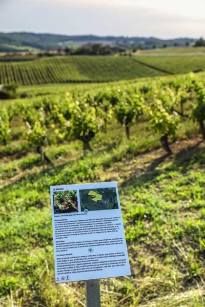UN VOYAGE EN 3 ETAPES  AU COEUR DU DOMAINE - app.name