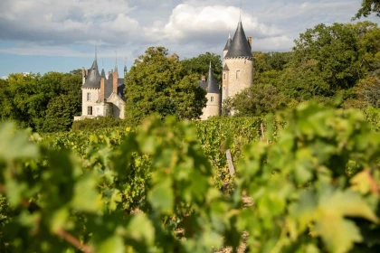 Harvester for a Day - Vignerons Indépendants
