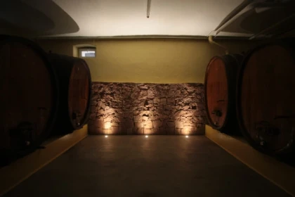 Traditional visit & wine tasting - 5 grape varieties - Vignerons Indépendants