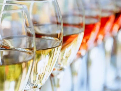 Visite du domaine et dégustation - app.name