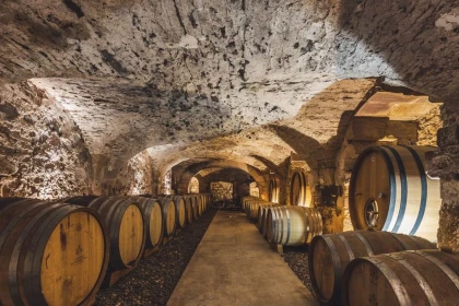 Visit and Tasting - Vignerons Indépendants