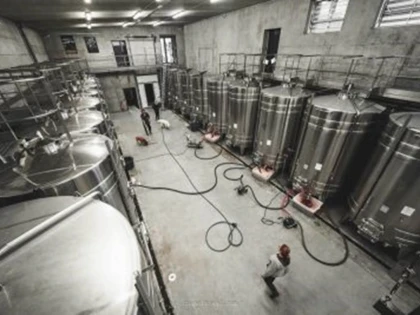 Workshop Discovery of breeding, Assembly and bottling - Vignerons Indépendants