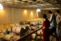 Guided cellar tour and wine tasting - Vignerons Indépendants