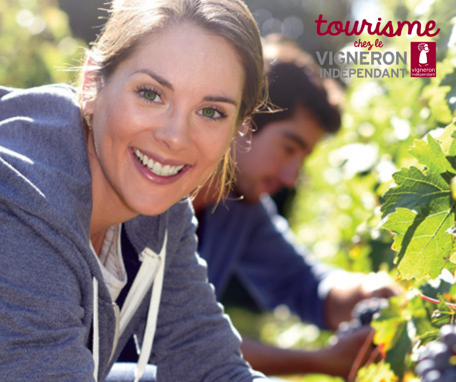 Participative Harvesting - Vignerons Indépendants