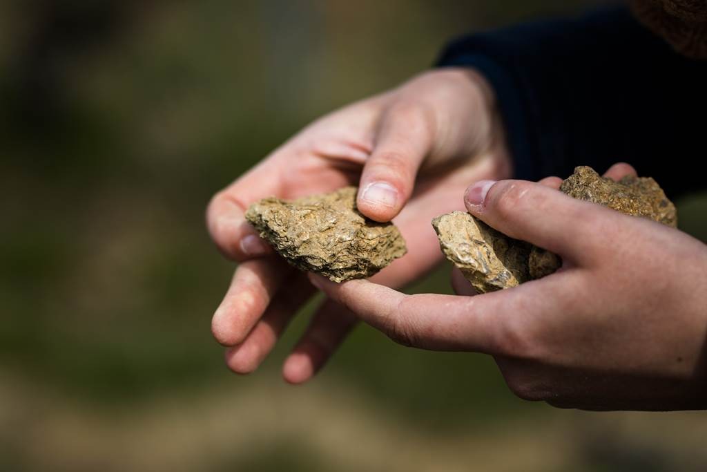 A la découverte de nos terroirs - Vignerons Indépendants
