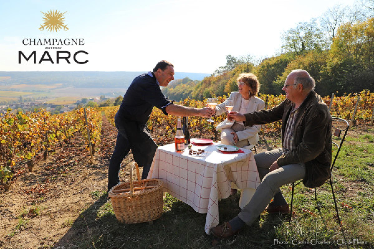 A unique sensory experience in the vineyards - Vignerons Indépendants