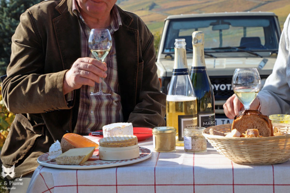 A unique sensory experience in the vineyards - Vignerons Indépendants