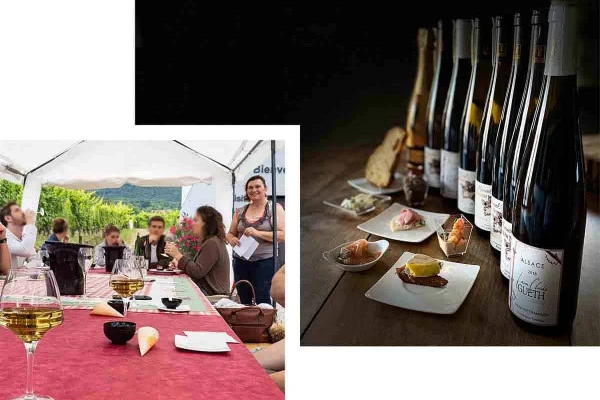 Gourmet Aperitif at the Independent Winegrower - Wines from Terroirs and Old Vines - Vignerons Indépendants