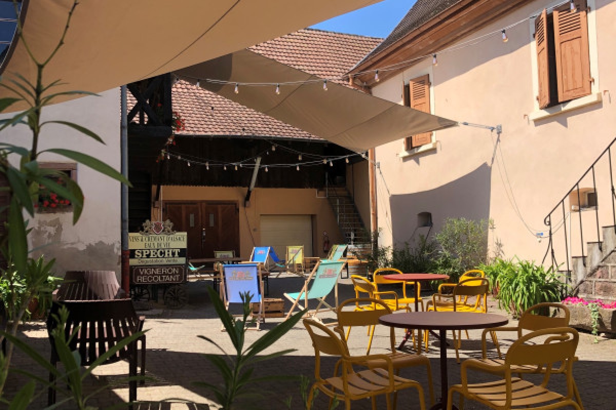 Gourmet aperitif at the Independent Winegrower's - Vignerons Indépendants