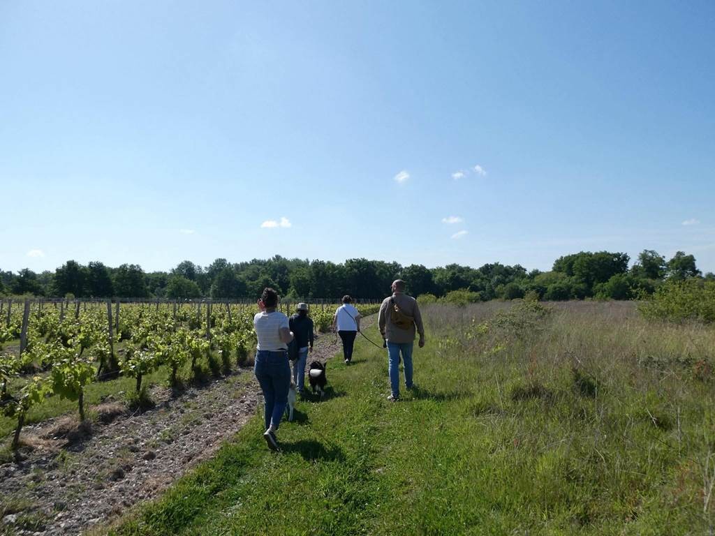 Independent Winegrowers Picnic - Vignerons Indépendants