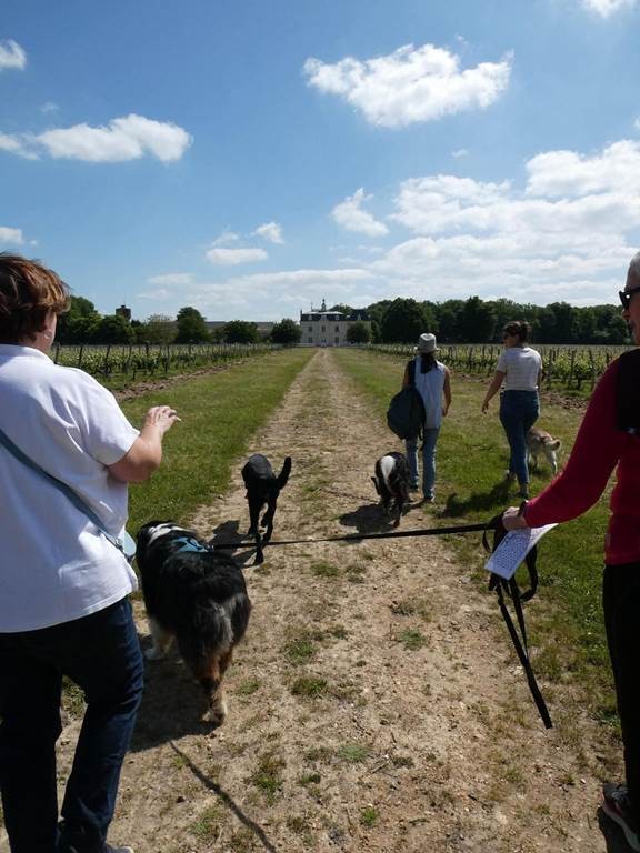 Independent Winegrowers Picnic - Vignerons Indépendants