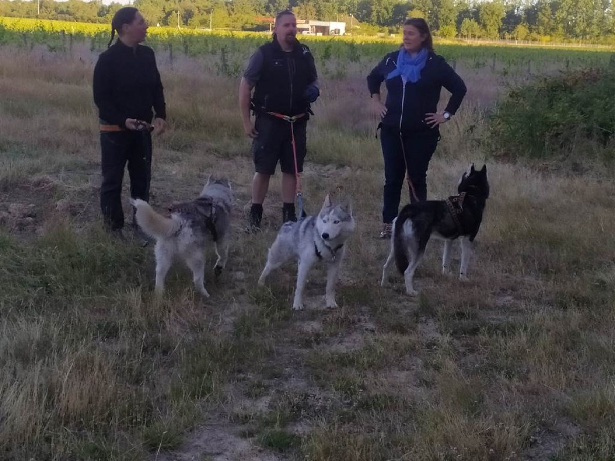 Independent Winegrowers Picnic - Vignerons Indépendants
