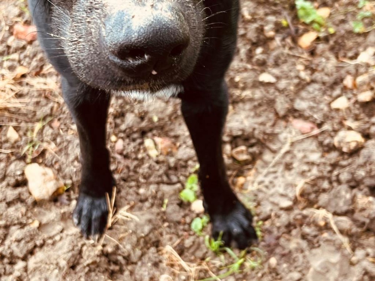 Independent Winegrowers Picnic - Vignerons Indépendants