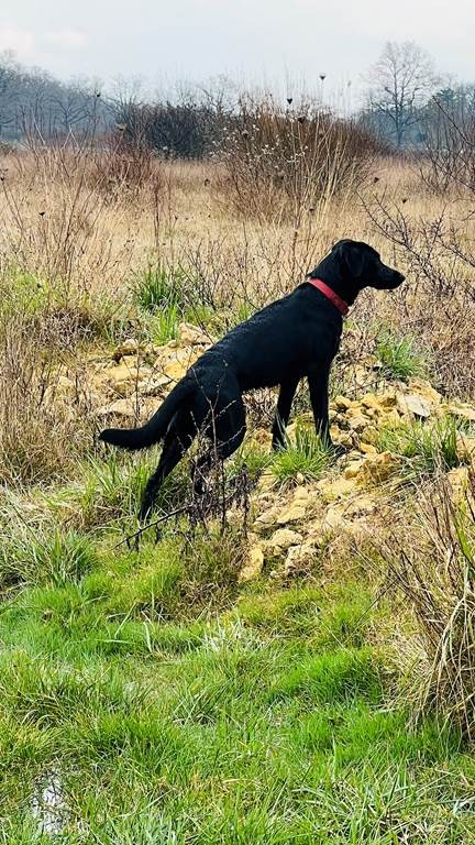 Independent Winegrowers Picnic - Vignerons Indépendants