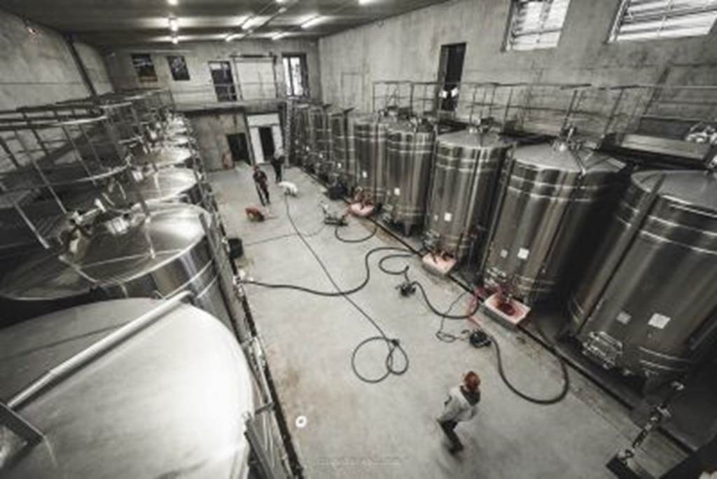 - Atelier Découverte de l'élevage et de l'assemblage - Vignerons Indépendants