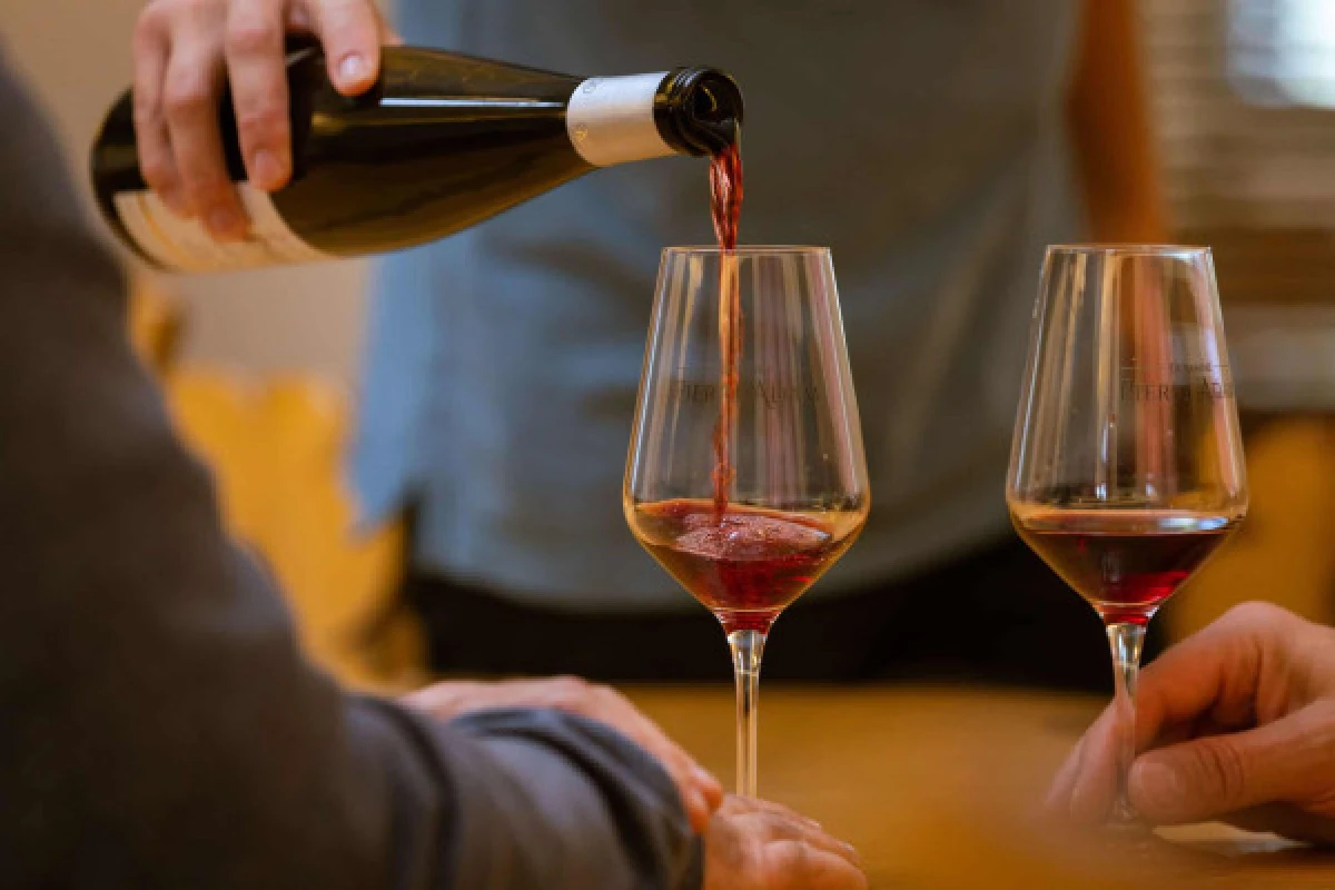 Alsace Wine Experience: Guided Tasting & Cellar Tour - Vignerons Indépendants
