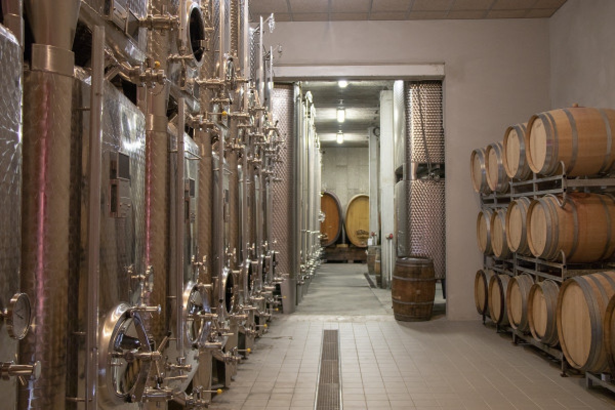 Alsace Wine Experience: Guided Tasting & Cellar Tour - Vignerons Indépendants