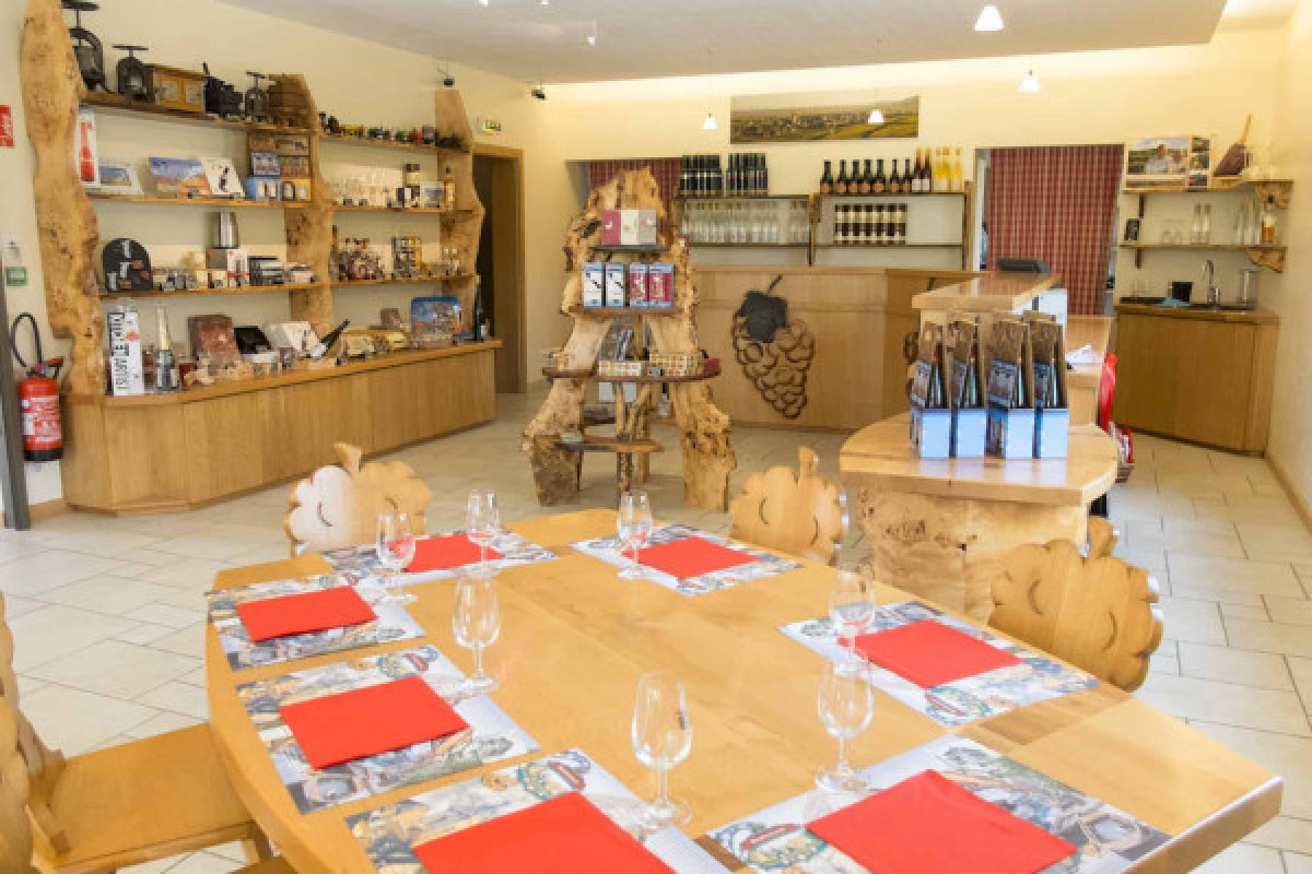 Alsace Wine Experience: Guided Tasting & Cellar Tour - Vignerons Indépendants