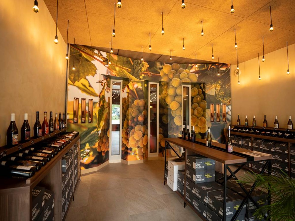 Atelier découverte du domaine - Vignerons Indépendants