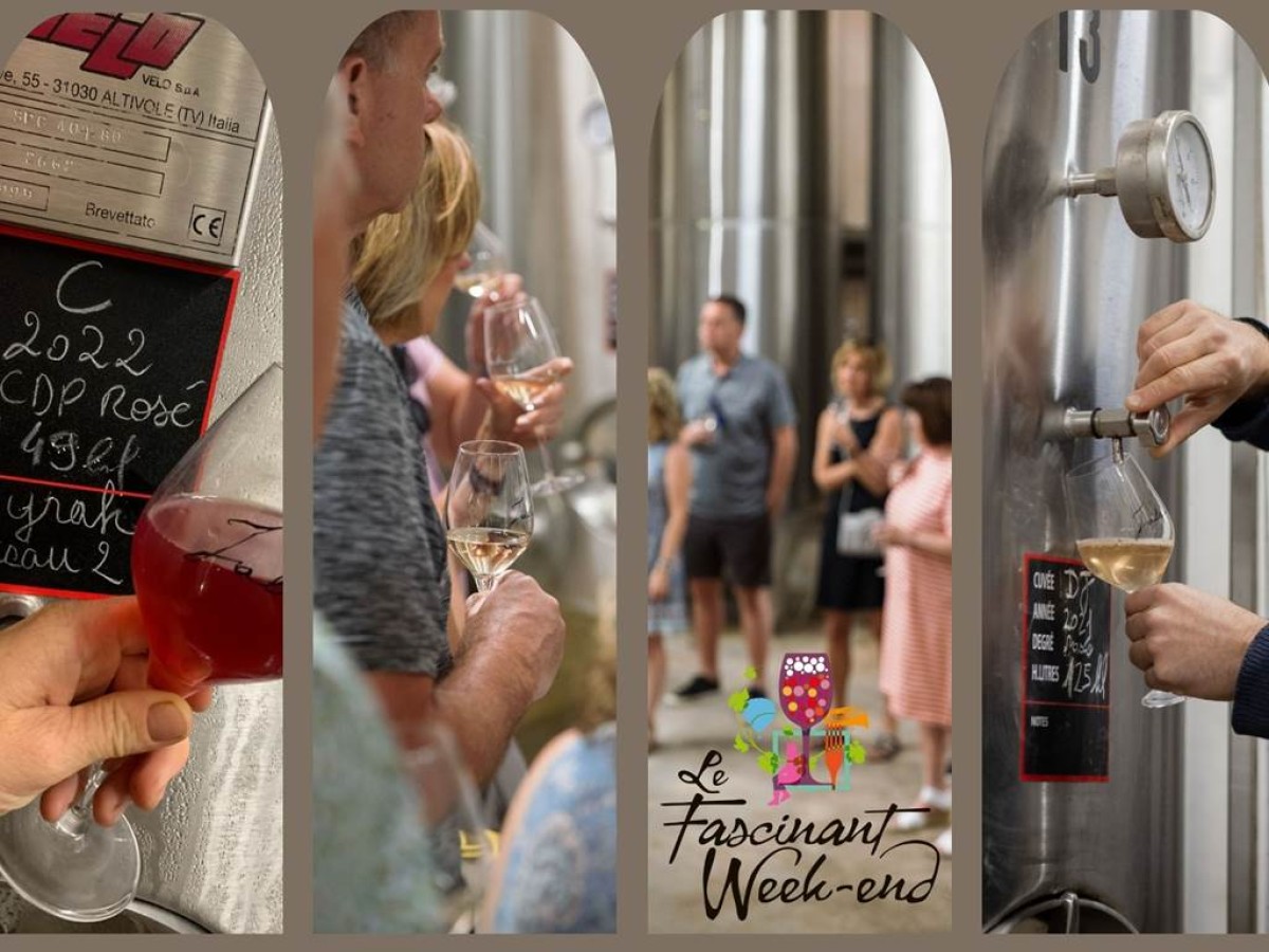 Wine tasting workshop and guided tour - Vignerons Indépendants