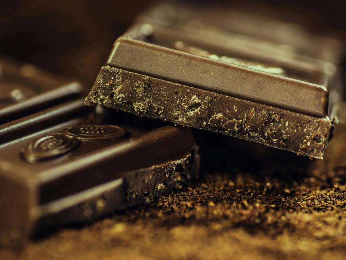 Atelier Vins & Chocolats - Vignerons Indépendants